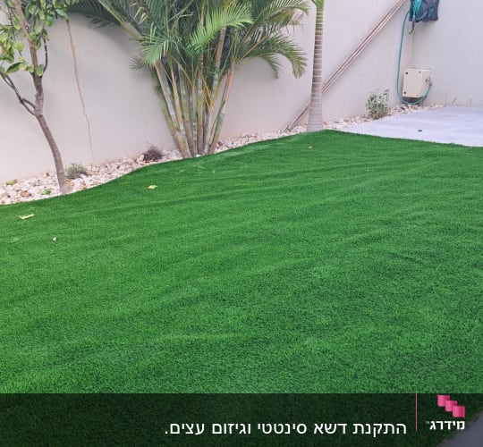 דשא סינטטי עם צינור השקיה על קיר